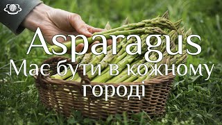 Asparagus Має бути в кожному городі