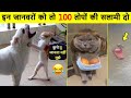 🤣 कहाँ से आते है ऐसे जानवर Best Funny Indian Animal Videos 2022, funniest animal videos in hindi