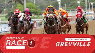 Vidéo de la course PMU BET WITH COLOSSUS POOLS EXCLUSIVE ON WWW.TOTE.CO.ZA MAIDEN JUVENILE PLATE