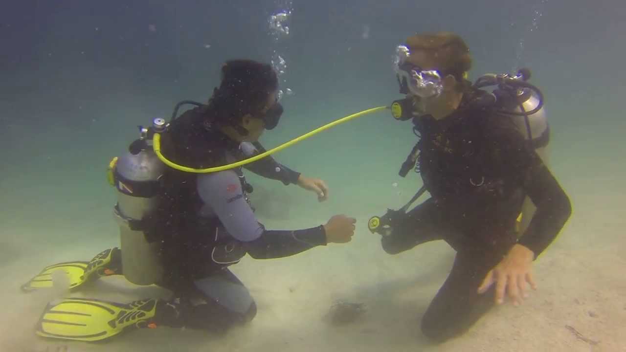 divemaster exam questions and answers divemaster exam questions and answers