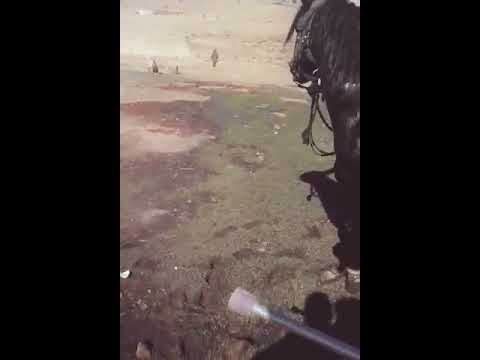 3awd dyal garni dar chafaî i9lim sttat (3imran.labaid)