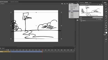 Animate CC how to zoom in on scenes