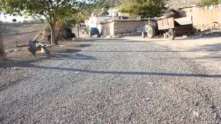 ARABAN BELEDİYESİ     2009 2010     1