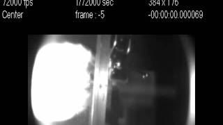 Impact_video_Lamberson