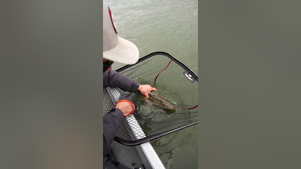 How to UnHook a Pike with Simon Torenbeek YouTube