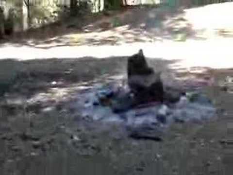 spray can camp fire