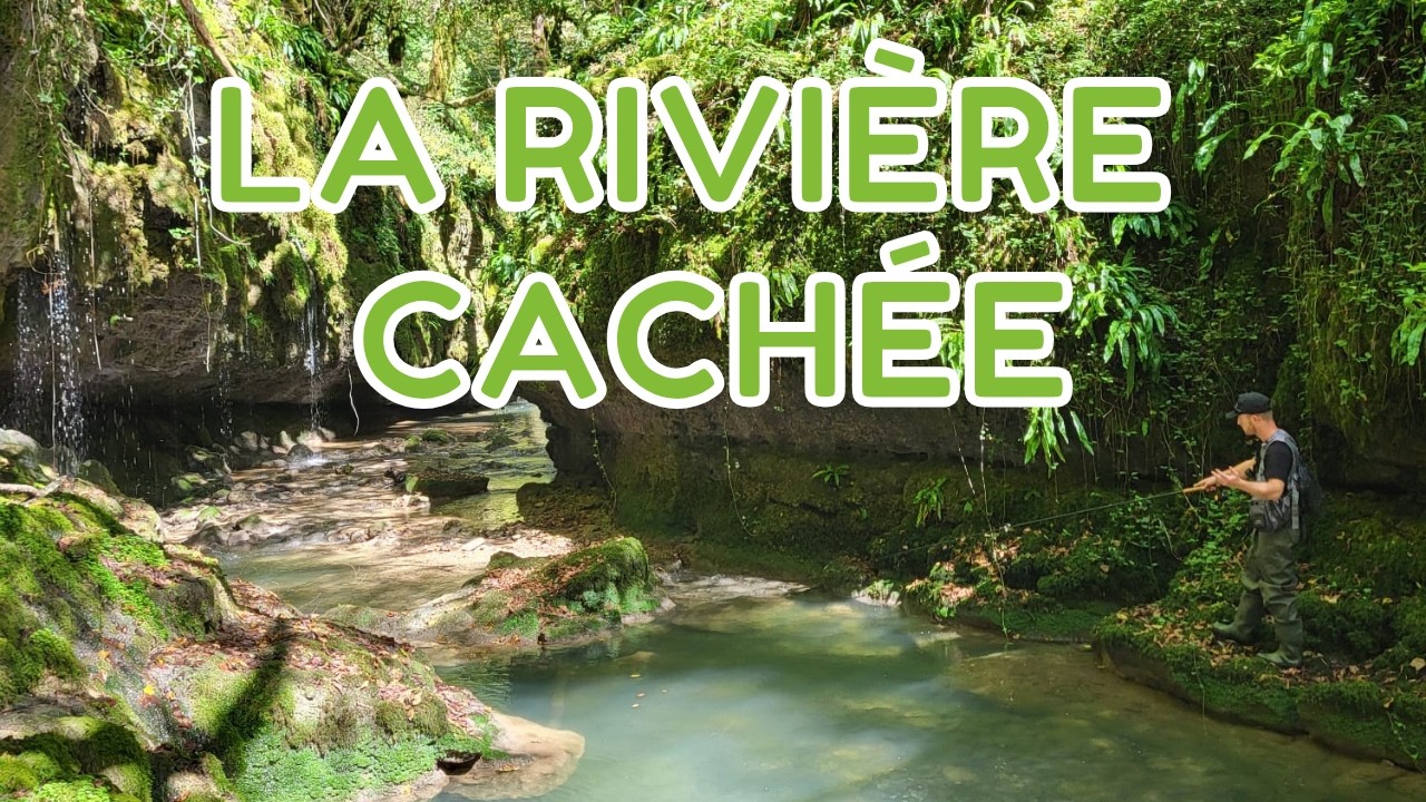La rivière cachée… je suis allé pécher la truite au toc où personne ne va !!!