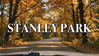 DASHCAM: Cruising around Vancouver | Waterfront - Stanley Park | Autumn Vibes