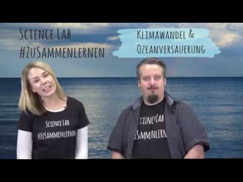 Video: Wie kann man die Ozeanversauerung rückgängig machen?