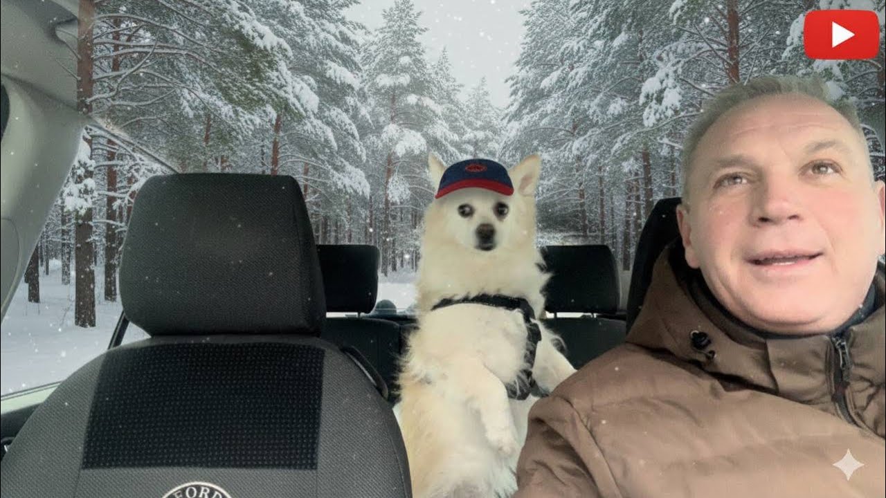 ПЕРЕСЕЛЕНЦЫ ДОНБАССА// ЧЕМУ ВЫ ЗАВИДУЕТЕ⁉️