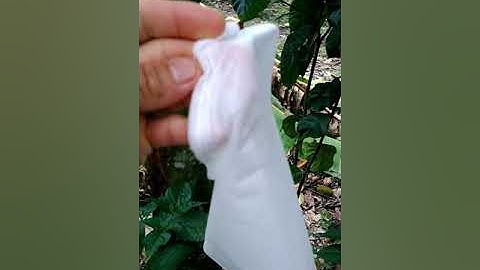 Bán Túi bao mít vải không dệt 2000₫, túi lưới màn 2.500₫ lh 0336698460