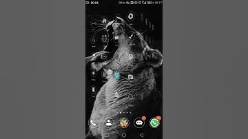 How to get a bitcoin wallet address with Luno