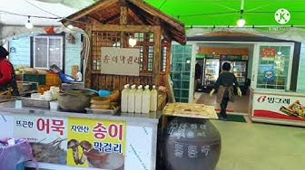 동백여행사 - Youtube
