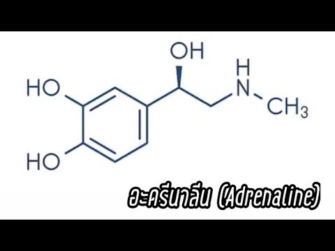 อะดรีนาลีน[Adrenaline] คืออะไร?