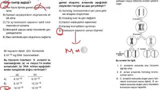 Bi̇yoloji̇ 24-Hücre Bölünmesi̇ 3