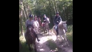 BALADE A CHEVAL AVEC LES ECURIES DE JAVA 16 06 2018 HORSE RIDING NEAR PARIS