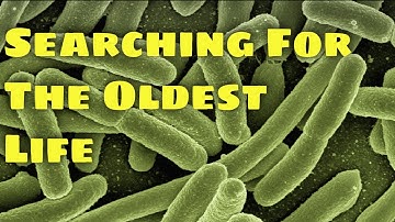 Oldest Fossils and the Origin of Life