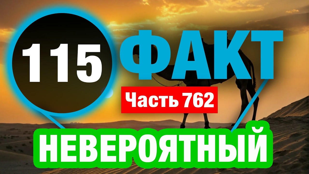 115 Неожиданный Факт