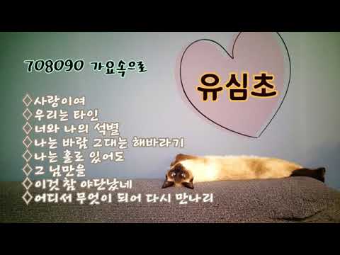 유심초 노래모음 사랑이여 외 7곡