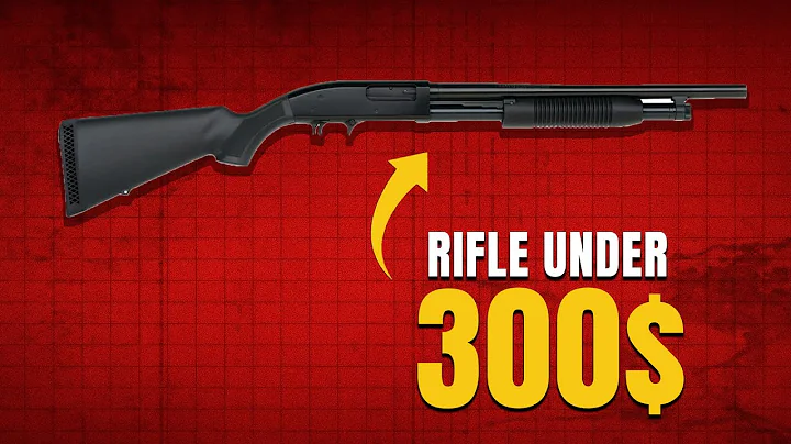 10 Best Guns Under $300: 2025 Edition (3rd Will Shock You)