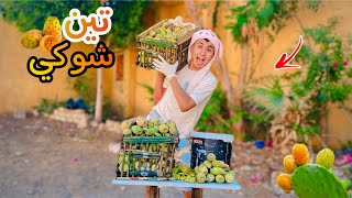 لما ابوك يجيب ‏قفص تين شوكي للبيت و اخوك الصغير ينزل يبيعه 🤦😂 | محمد عماد