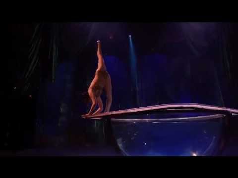 cirque du soleil movie