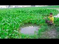 Fishing Video🐠🐬 || The boy is happily fishing in the field canal || Beautiful hook fishing