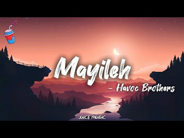 Mayileh Lyrics  - Havoc Brothers |  Juize Muzic @HavocFobiaStation class=