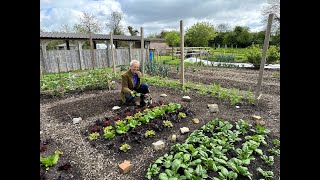 Results of different covers on new vegetable plantings in spring, and when to remove screenshot 2