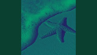 Alluring Music for Escaping Winter