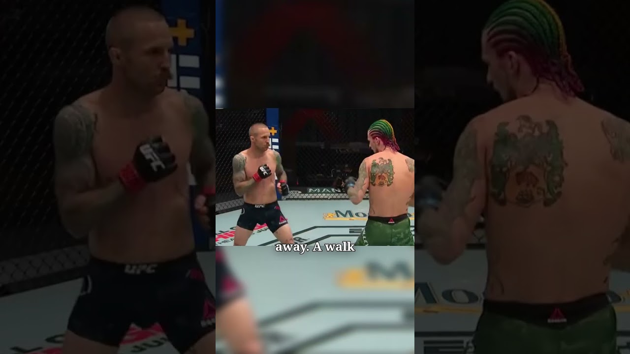 Sean O’Malley’s Walk-Off KO – vs. Eddie Wineland - 
