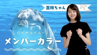 メンバーカラーを発表される真琳ちゃん【福田真琳】