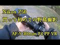 Nikon Z50 野鳥写真 FTZ + AF-S 300mm F4 PF VR