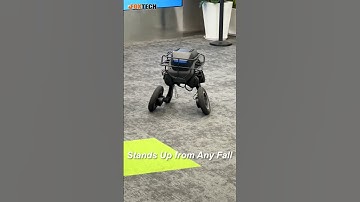 XTRON ATOM P1 Pro: High-Speed Biped Robot with Modular Feet for AI & Robotics Research