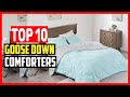 ✅Top 10 Best Goose Down Comforters of 2023