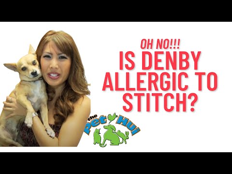 allergic-to-dogs???