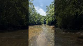 Clear Creek Short 2