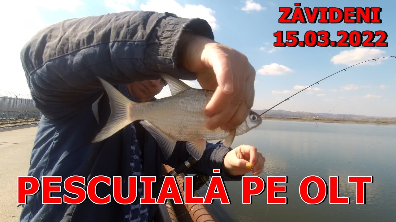 PESCUIALA PE OLT LA ZAVIDENI 15 .03. 2022