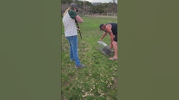 Racoon Hunters