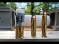 Best BEAR Rounds! - 12 gauge vs 4570 vs 500 magnum