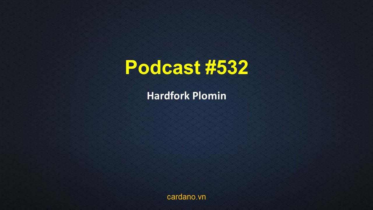 Outline Video Podcast #532 - Hardfork Plomin