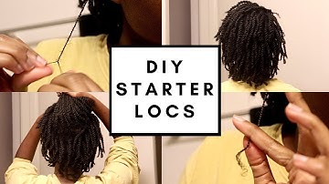 How to Start Your Own Locs at Home | Two Strand Twist Starter Locs Tutorial