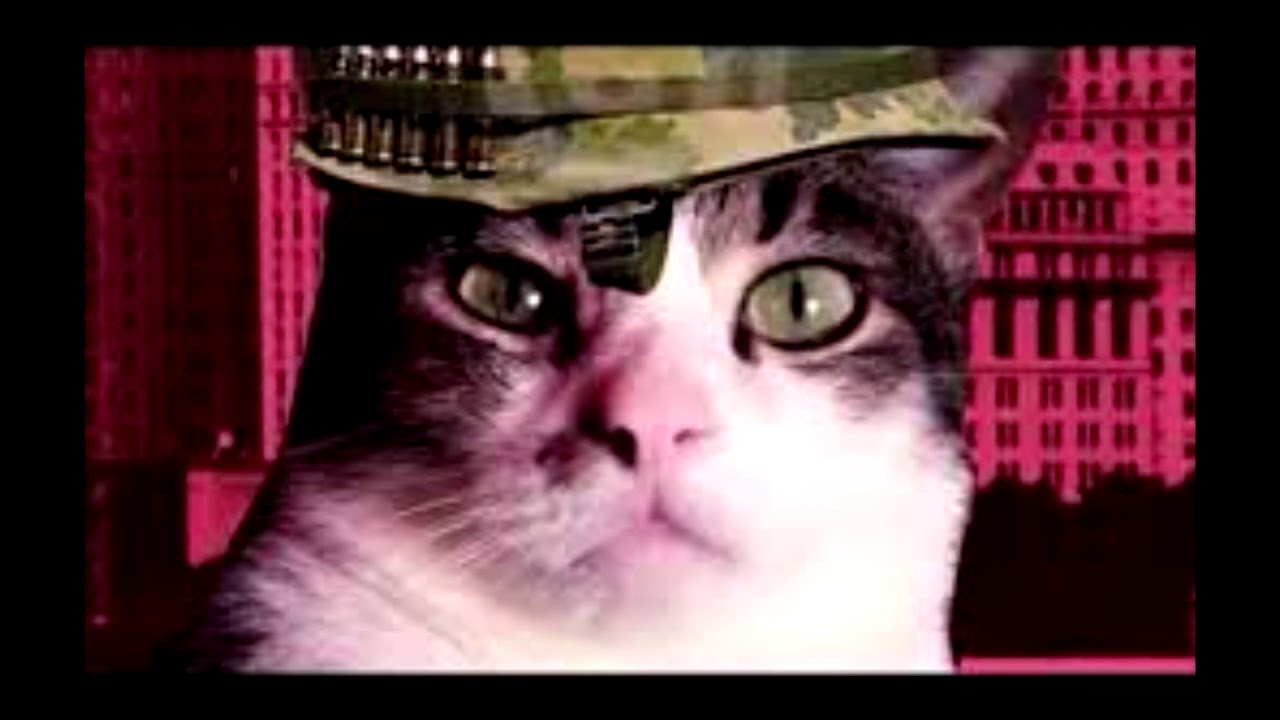 Flags in a Nutshell!