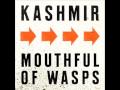 Kashmir  mouthful of wasps