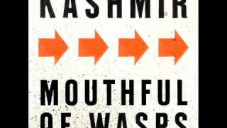 Watch Kashmir Mouthful Of Wasps video