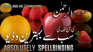 surah al rahman with urdu translation|surah al rahman with urdu translation reaction