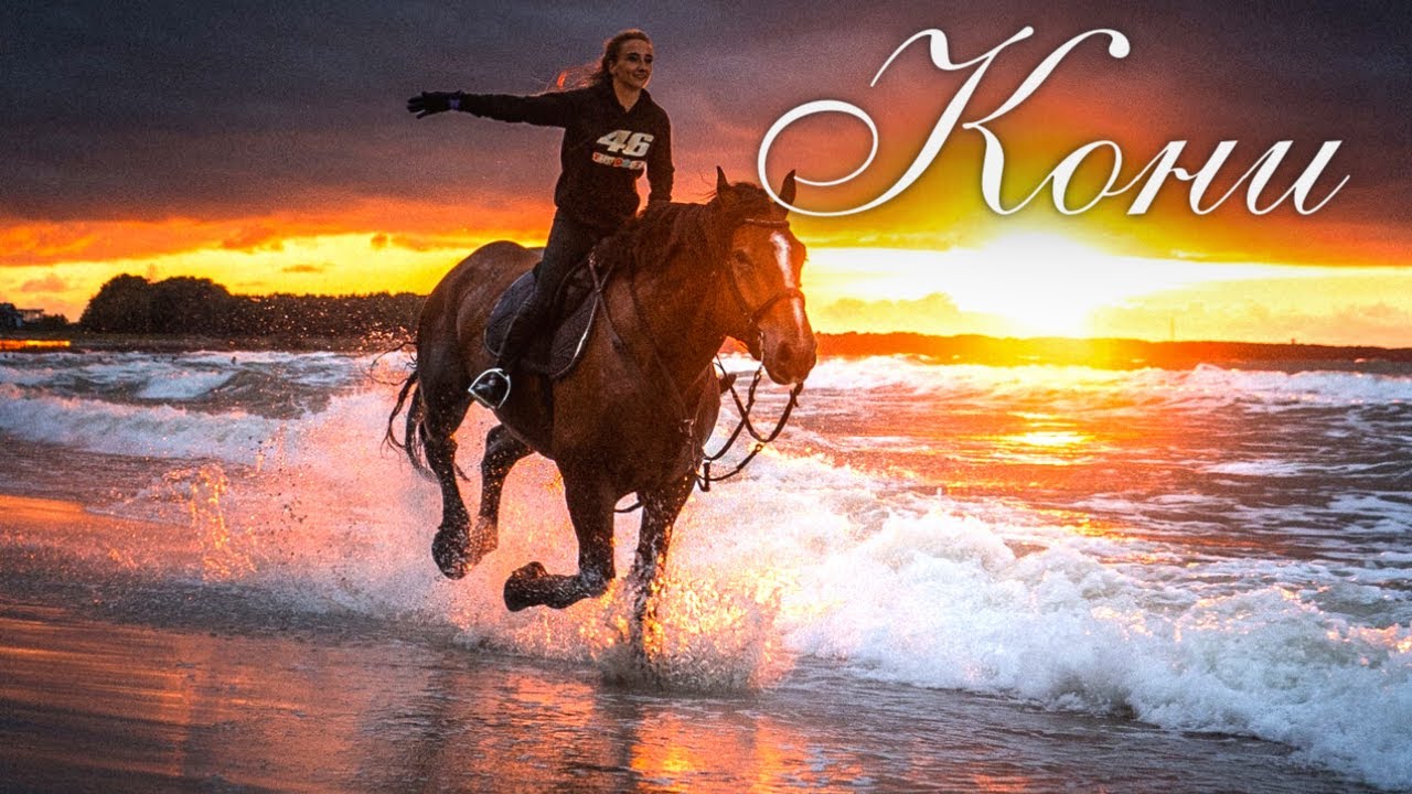 токмакова стихи. душа лошади. еду на коне песня. стихотворение токмаковой мы ехали ехали. еду на коне песня.