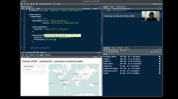 UI dinámica con conditionalPanel