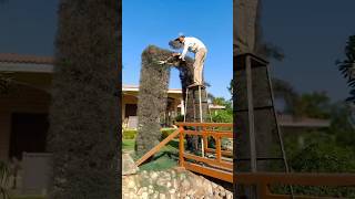 Amazing Hedge Cutting Work | Satisfying Garden Transformation | YouTube Shorts