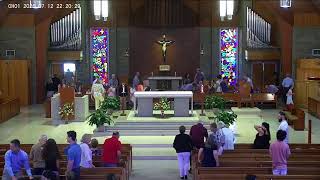 SKS Livestream - 15th Sunday in Ordinary Time